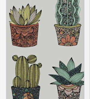Cuadro Little cactus