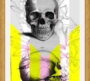 Cuadro Skull in Summer