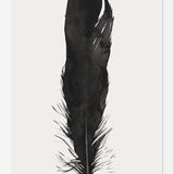 Cuadro Pluma Acuarela 1