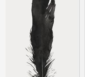 Cuadro Pluma Acuarela 1