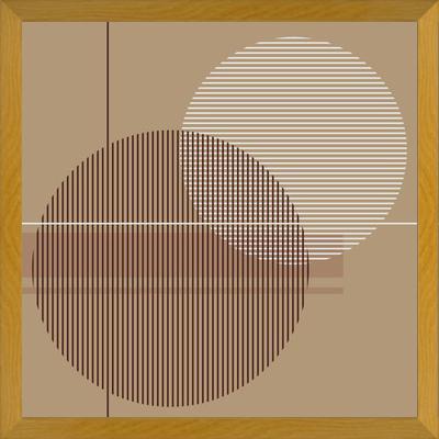 Cuadro Transparent Circles with Lines
