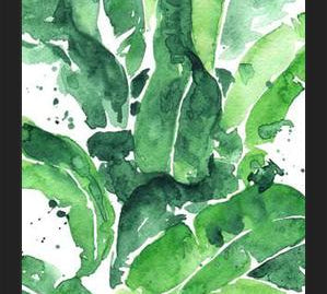 Cuadro Tropical Green 1