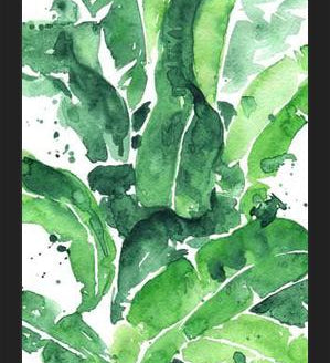 Cuadro Tropical Green 1