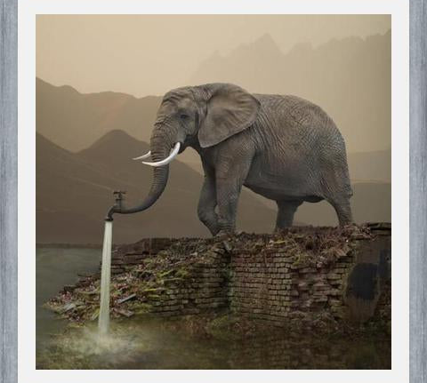 Cuadro Hydrant