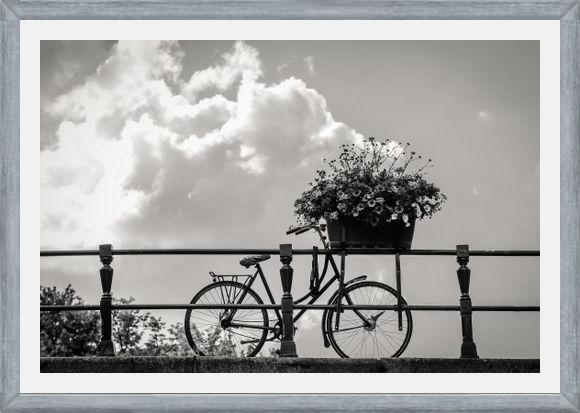 Cuadro Bicicleta y flores en canales Amsterdam
