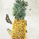 Canvas Pineapple