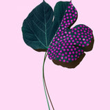 Canvas Leaf