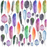 Canvas COLOR BIRDS