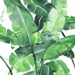Canvas Tropical Green 2 - Galeria Impresionarte