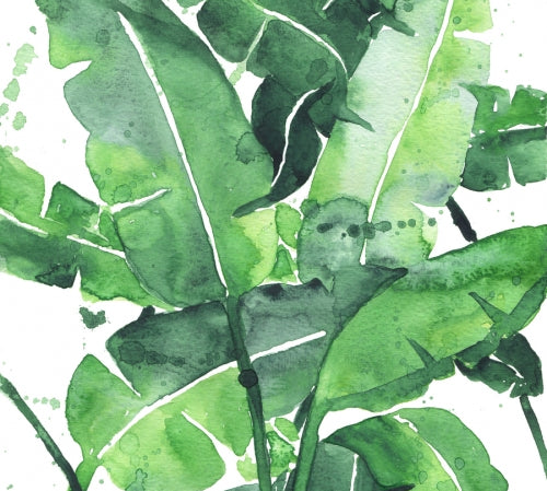 Canvas Tropical Green 2 - Galeria Impresionarte