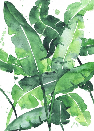 Canvas Tropical Green 2 - Galeria Impresionarte