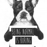 Being normal is boring - Galeria Impresionarte