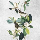Canvas Botanical print