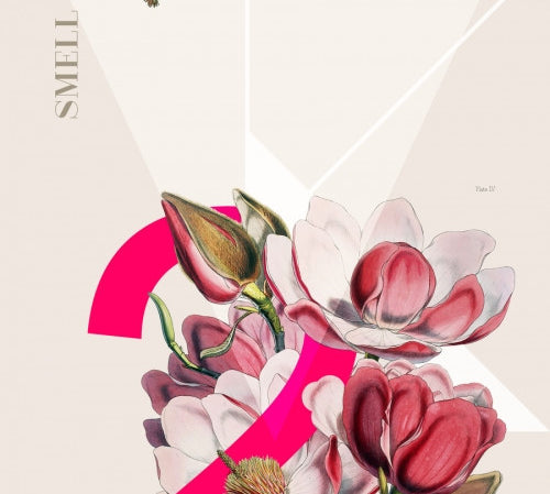 Canvas Smell 2 - Galeria Impresionarte
