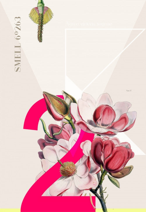 Canvas Smell 2 - Galeria Impresionarte