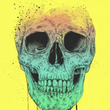 Canvas Pop art skull - Galeria Impresionarte