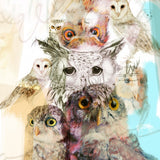 Canvas Family Owls