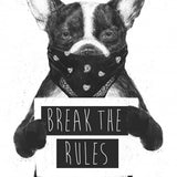 Canvas Rebel dog
