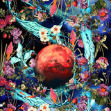 Canvas Mars