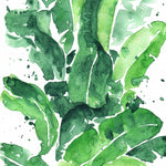 Canvas Tropical Green 1 - Galeria Impresionarte
