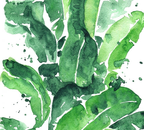 Canvas Tropical Green 1 - Galeria Impresionarte
