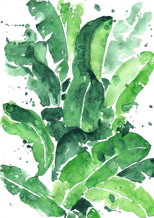 Canvas Tropical Green 1 - Galeria Impresionarte