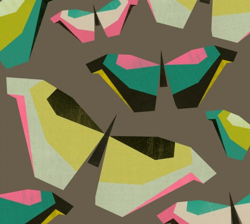 Bastidor Neon Butterflies - Galeria Impresionarte