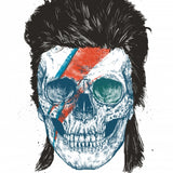 Canvas Eye of the singer - Galeria Impresionarte