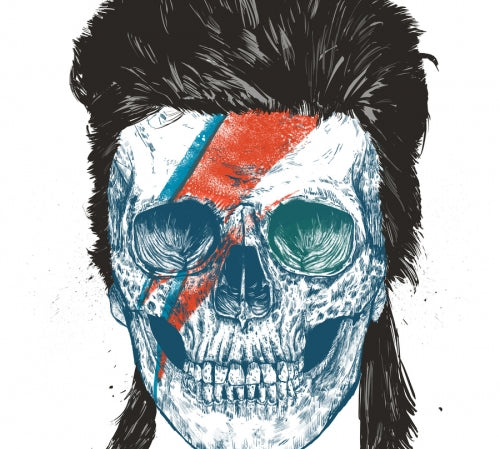 Canvas Eye of the singer - Galeria Impresionarte