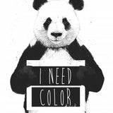 Canvas I need color