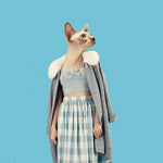 Canvas Cat - Galeria Impresionarte