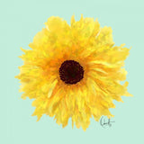 Canvas Sol